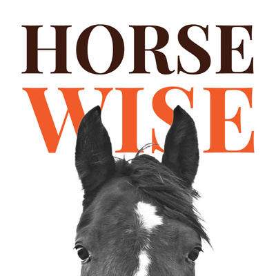 Fear of missing out in horsemanship (the second episode in the Horse Wise”F-word” series)