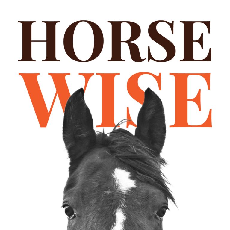 Amy Skinner on emotionalism & horsemanship